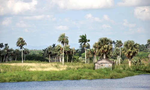 Auto-tour Mambo